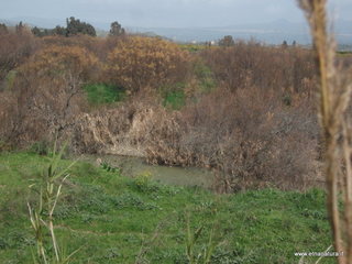 lle del Simeto-24-02-2013 10-59-48